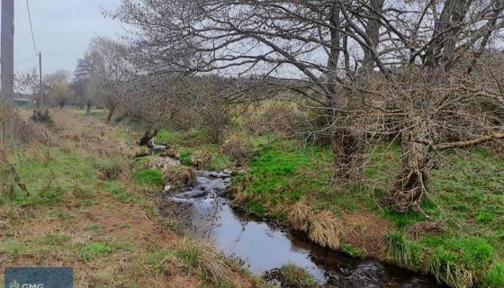 SATILIK TARLA - GEBZE / DENİZLİ MAHALLESİ - 150 ADA 58 PARSEL